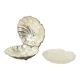 Silver-Plated Shell Butter Dish Caviar Holder Made in England