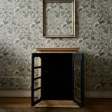 Renovated display case to place or hang