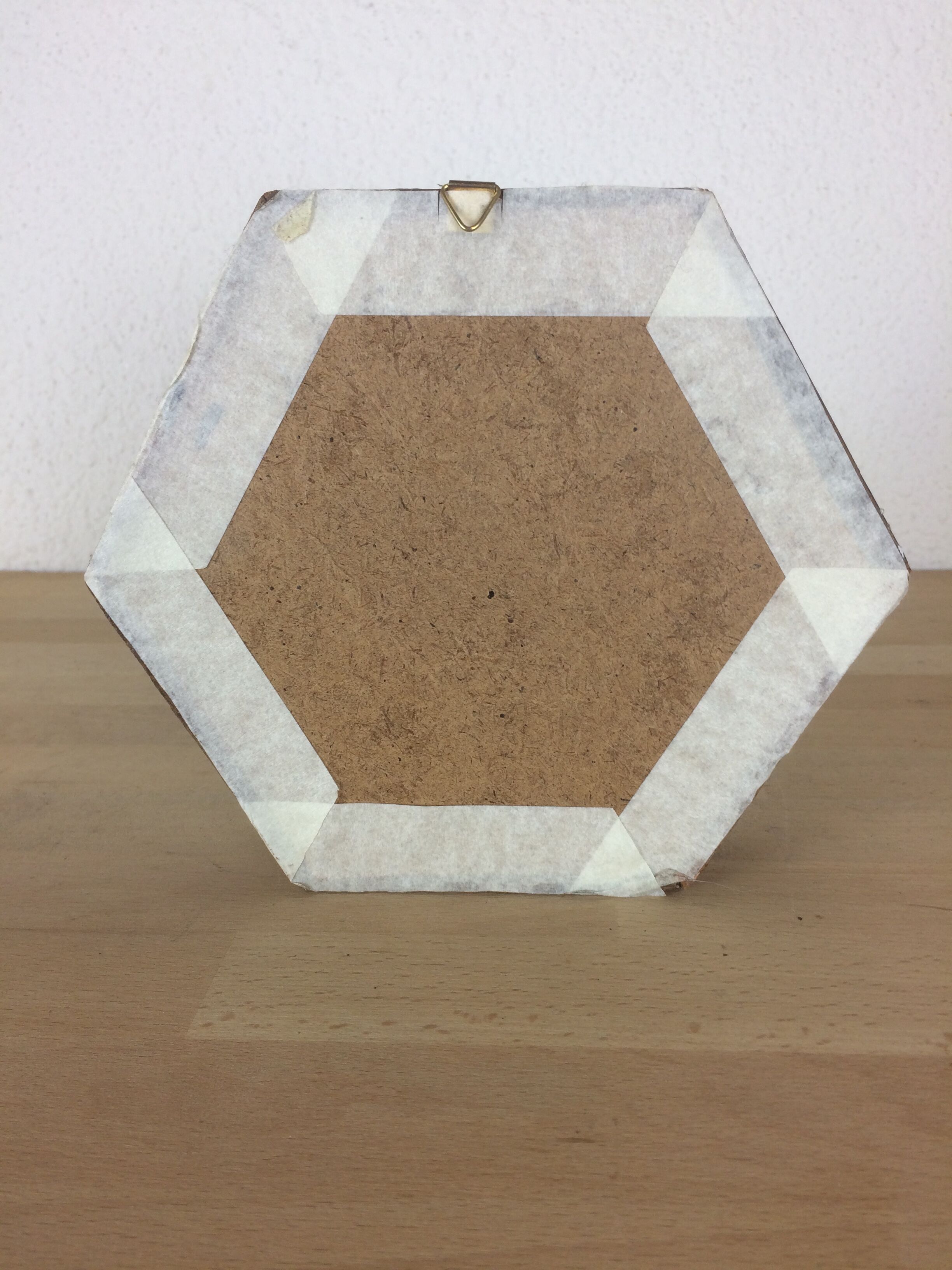 Naturalized mygal spider under hexagonal frame