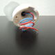 Wall light tulip