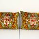 Paire de coussins