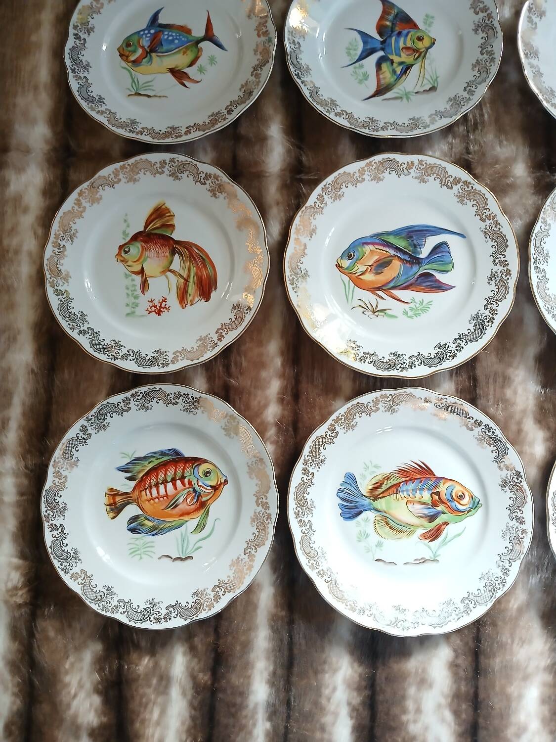 12 antique "Royal" dinner plates + 1 dish