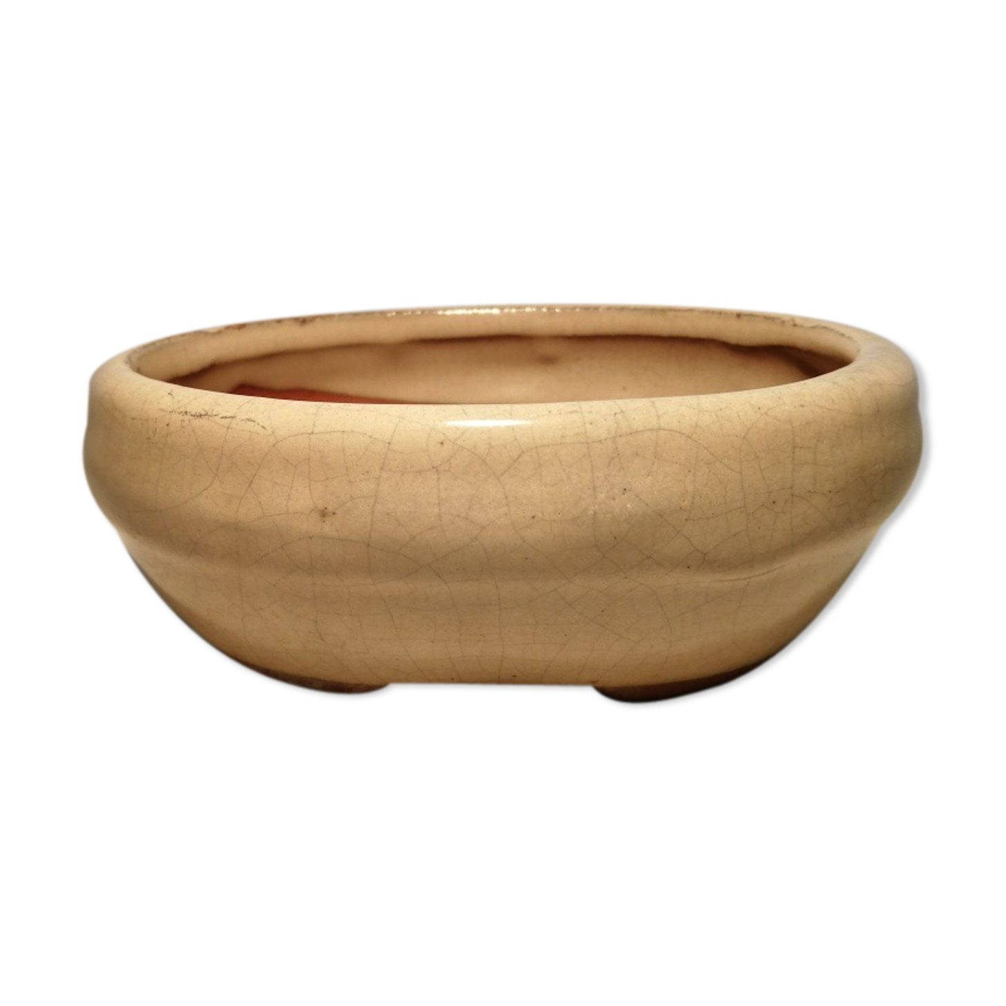 Bonzai Enameled Terracotta Pot Indoor Plant