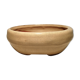 Bonzai Enameled Terracotta Pot Indoor Plant