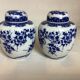 Paire de vases fleurs bleues