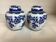 Paire de vases fleurs bleues