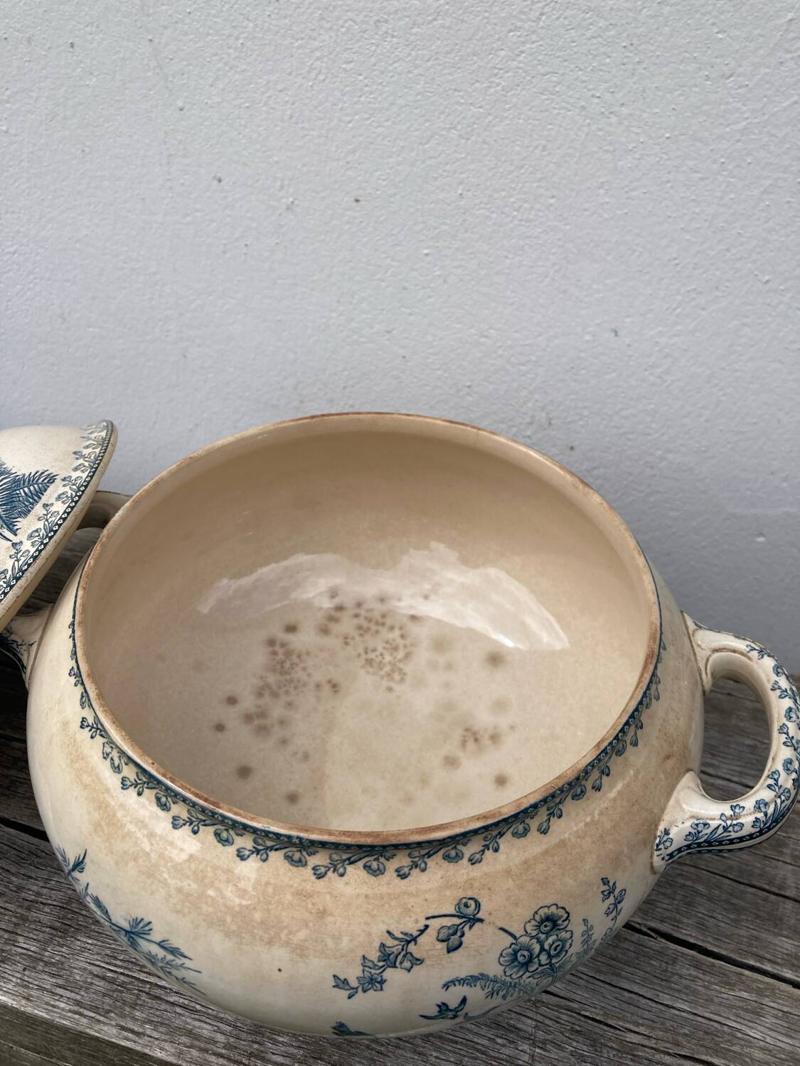 Earthenware tureen tureen Pexonne birds