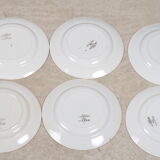 Flat plates iron earth