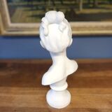 Biscuit bust