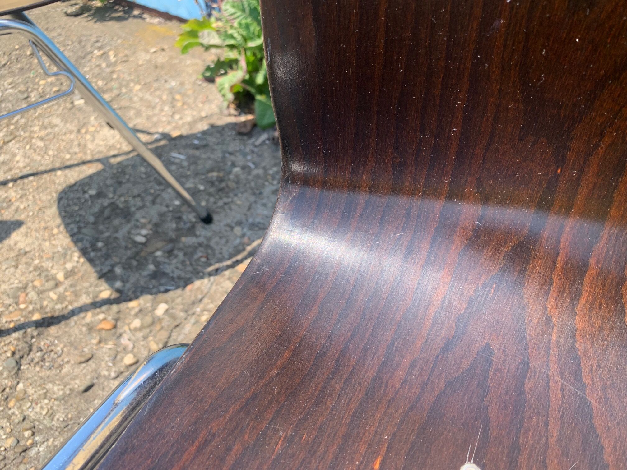 Set of 2 Galvanitas S26 Pagholz chairs, 1960s