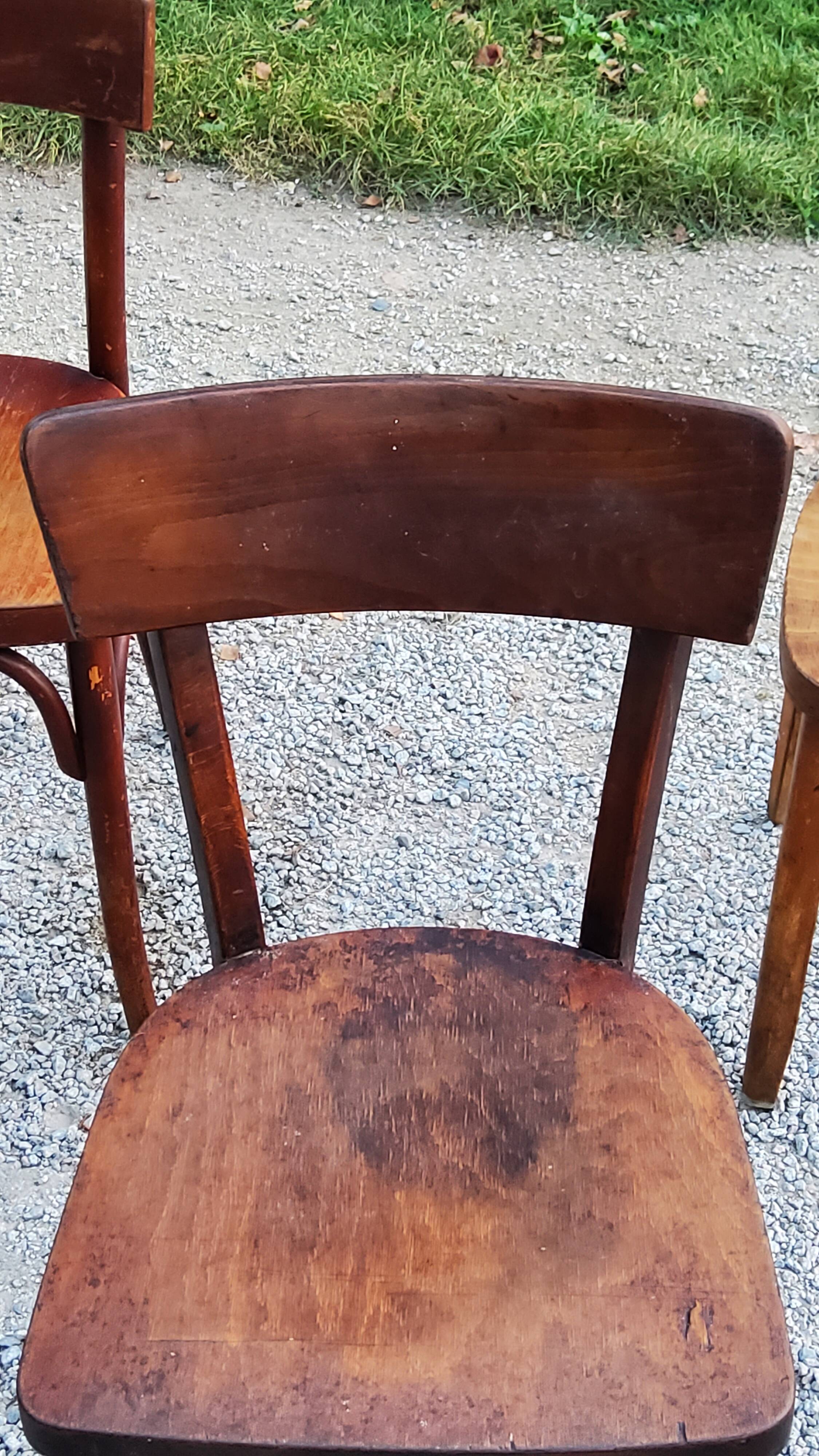 Set of 5 Stella Thonet bistro chairs from the 1950s