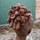 Woman bust