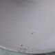 Enamelled sheet metal lampshade