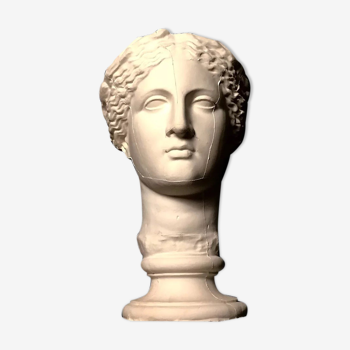 Head Ceres or Muse