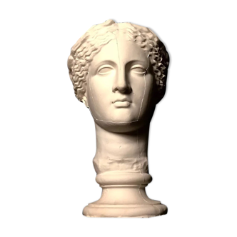 Head Ceres or Muse