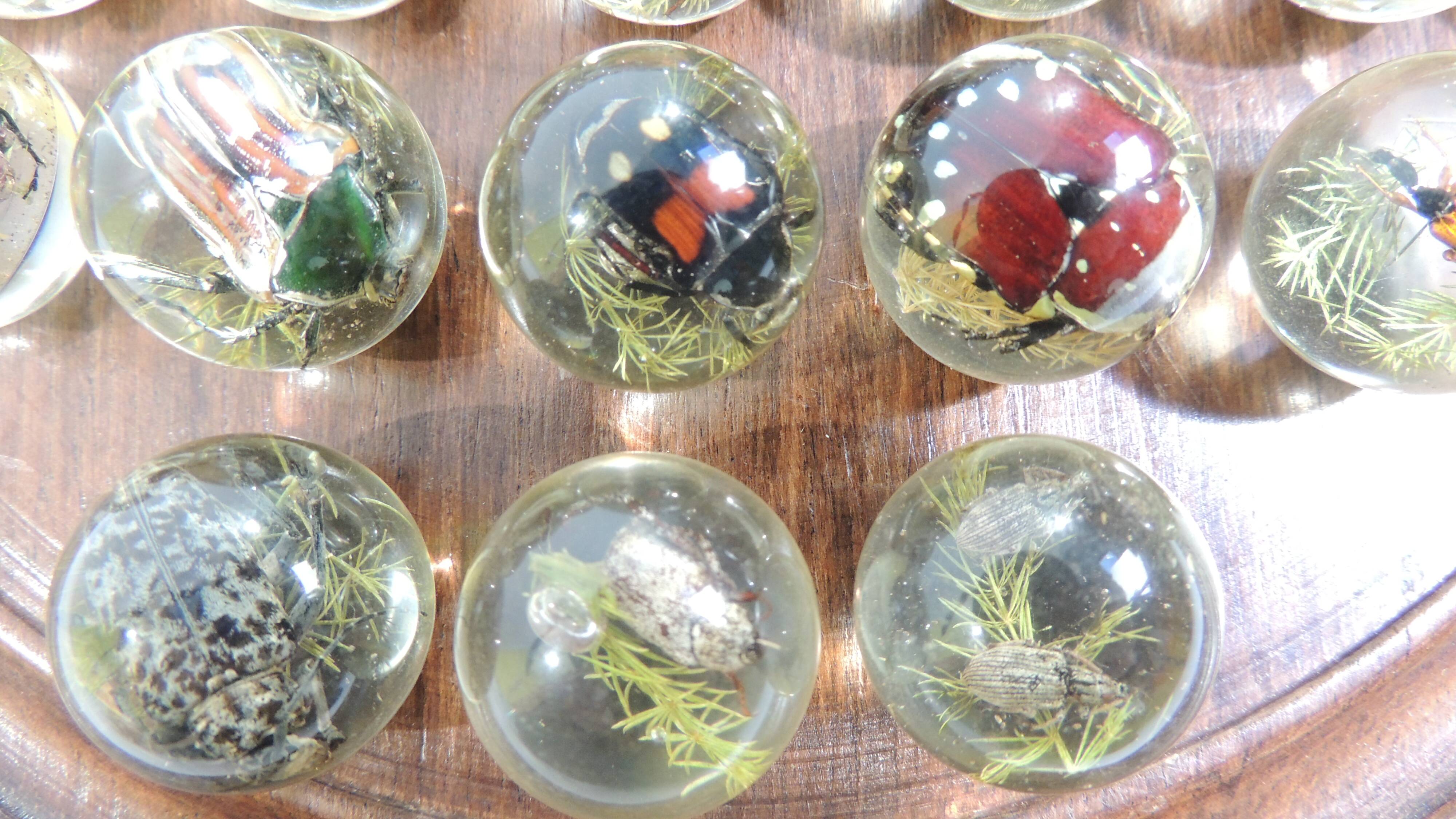 Vintage wooden carved solitaire game – Resin balls with insects –
