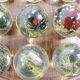 Vintage wooden carved solitaire game – Resin balls with insects –