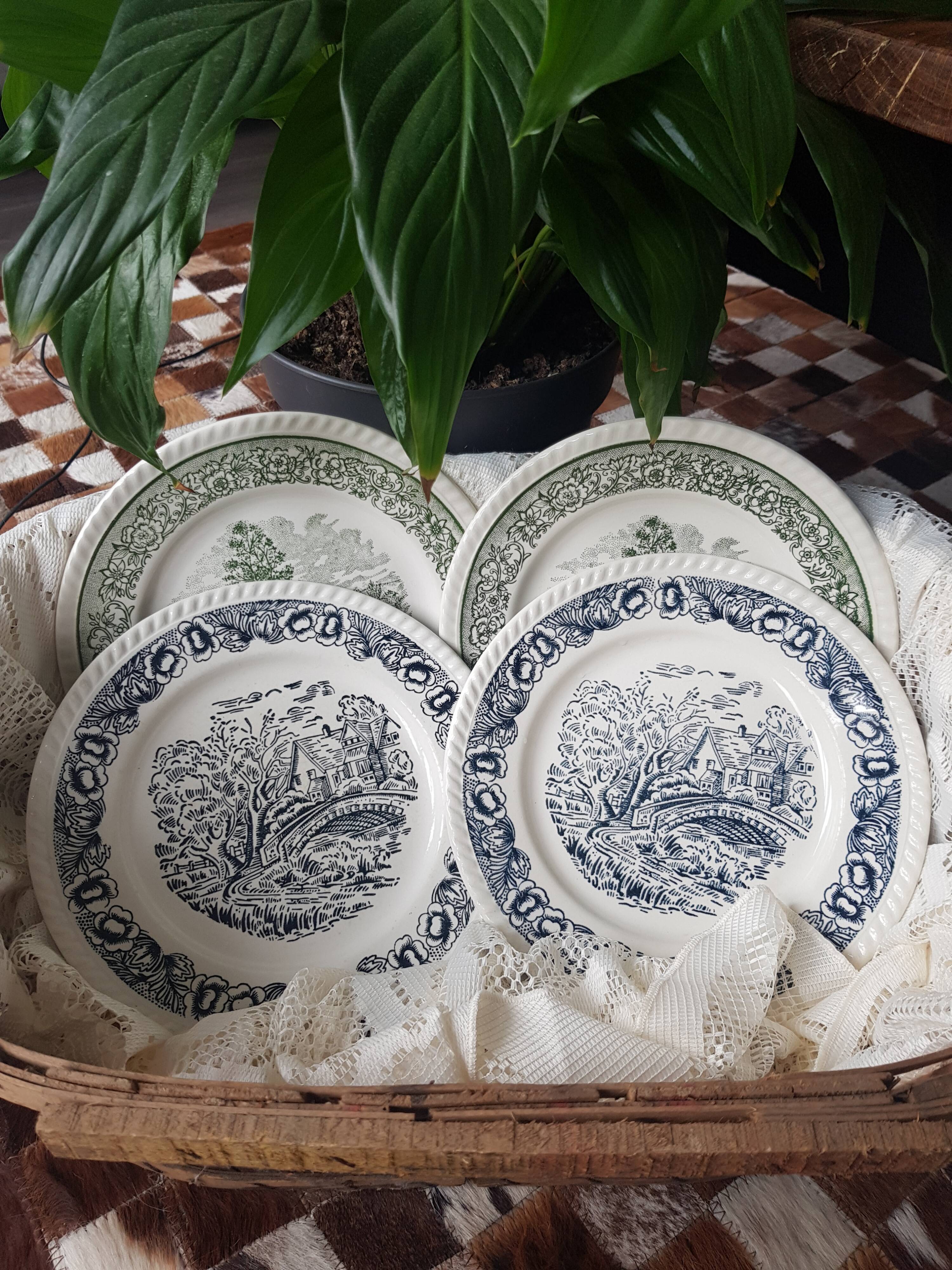 Lot de 4 assiettes plates vertes et bleues
