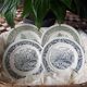 Lot de 4 assiettes plates vertes et bleues