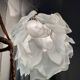 Lustre suspension en verre fleur vintage