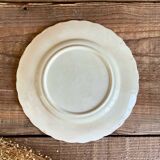2 small Terre de fer “birds” plates