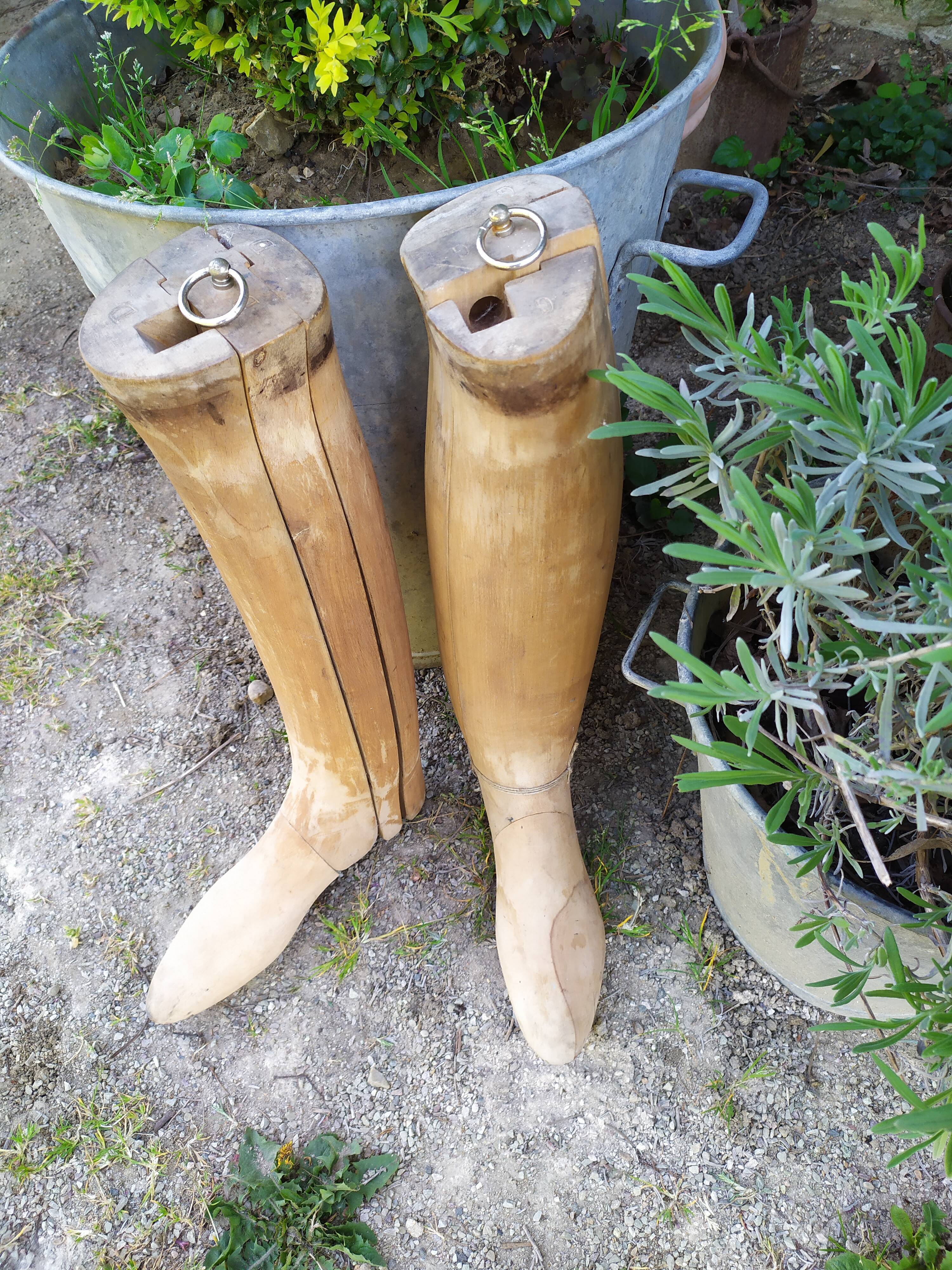 Boot shoe trees