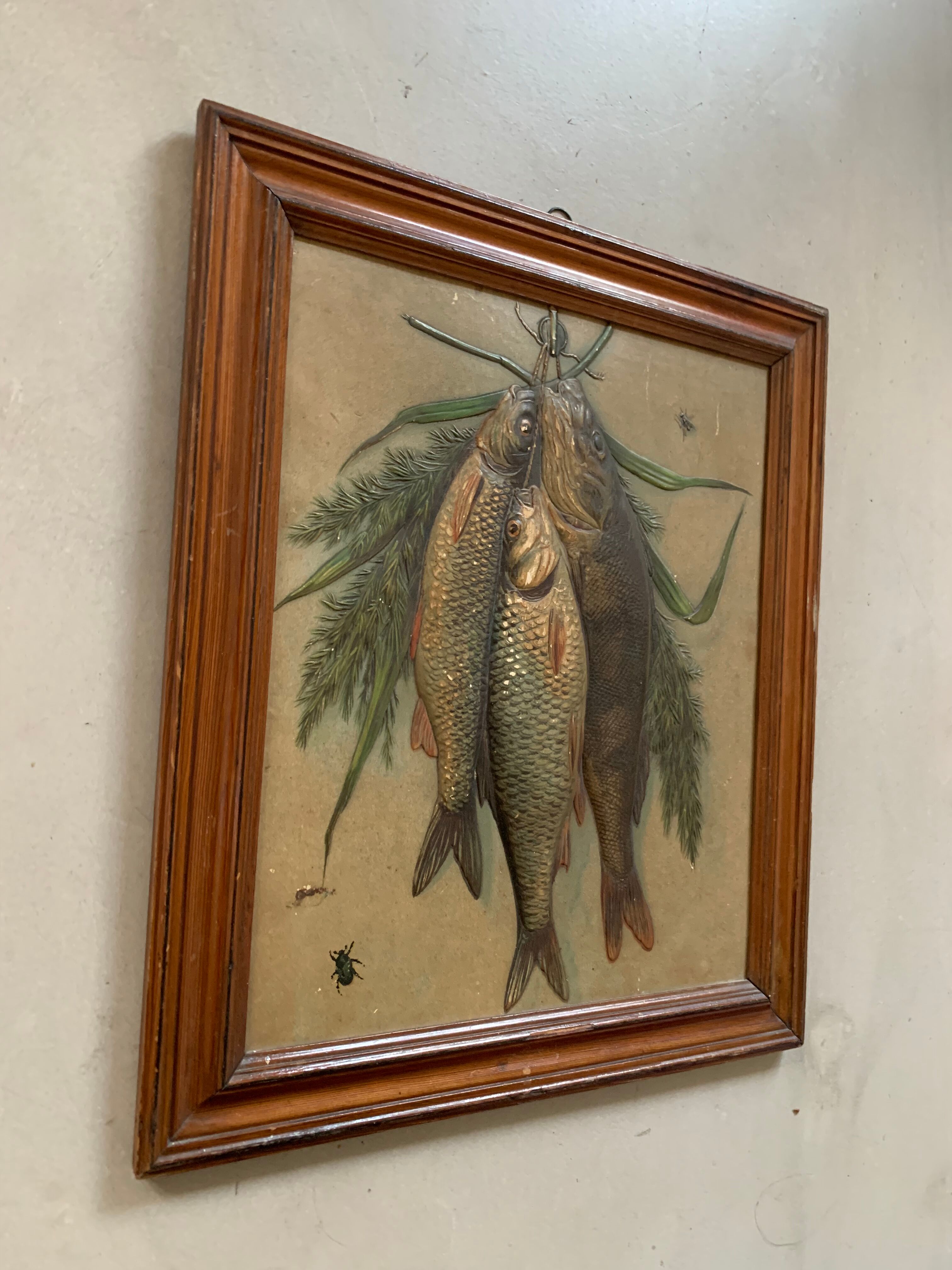 Still life, old fish trophy table