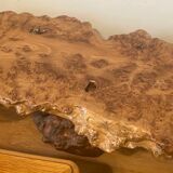 Varnished root living room table