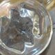4 crystal lily candle holders from Vannes le Châtel.