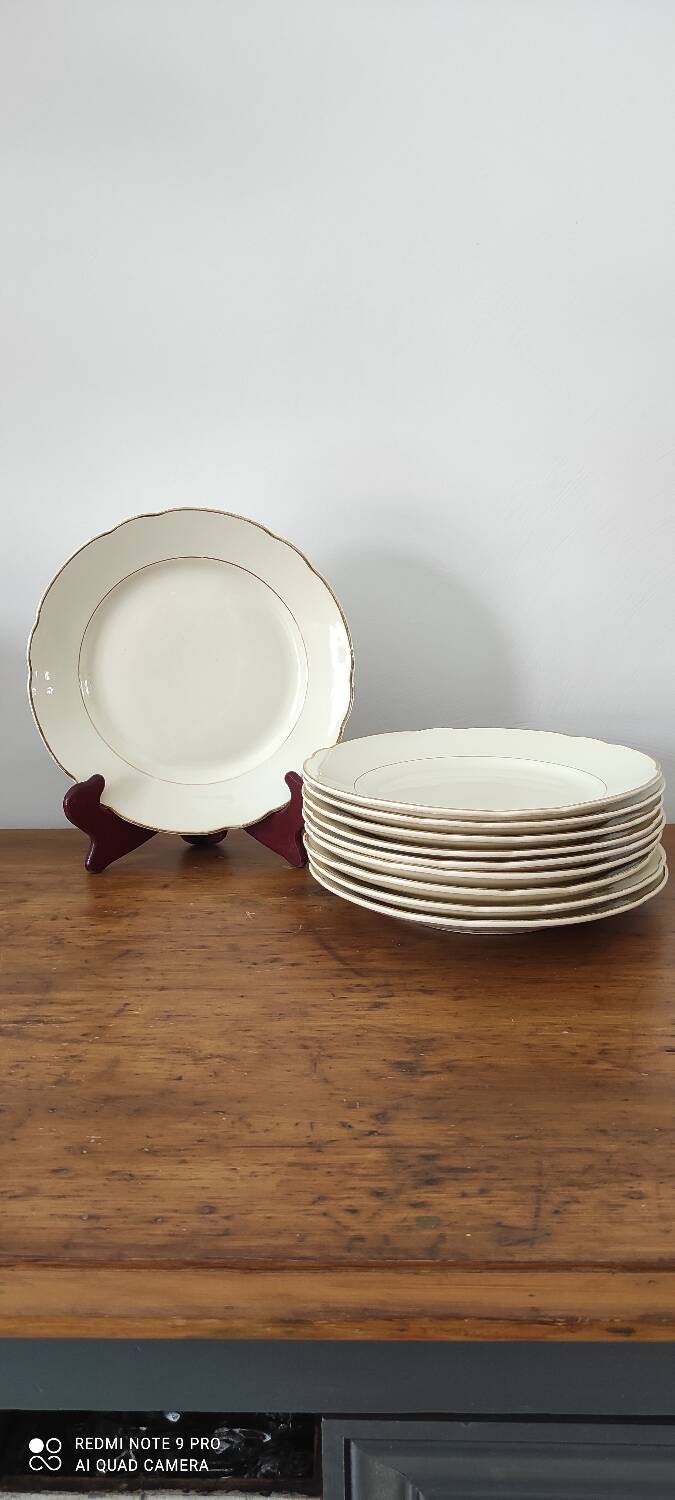 Villeroy and Boch dinner plate set
