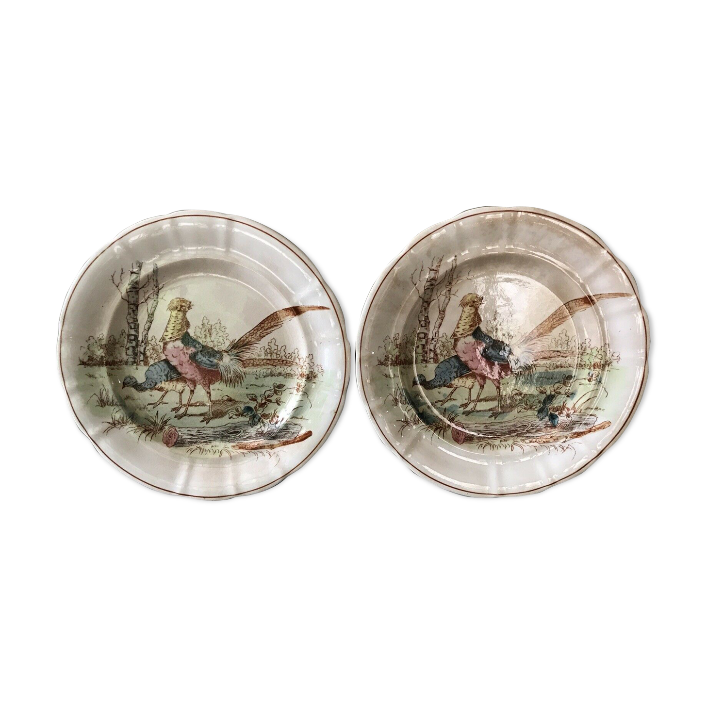 2 assiettes décor faisan faïence de Longwy XIXème
