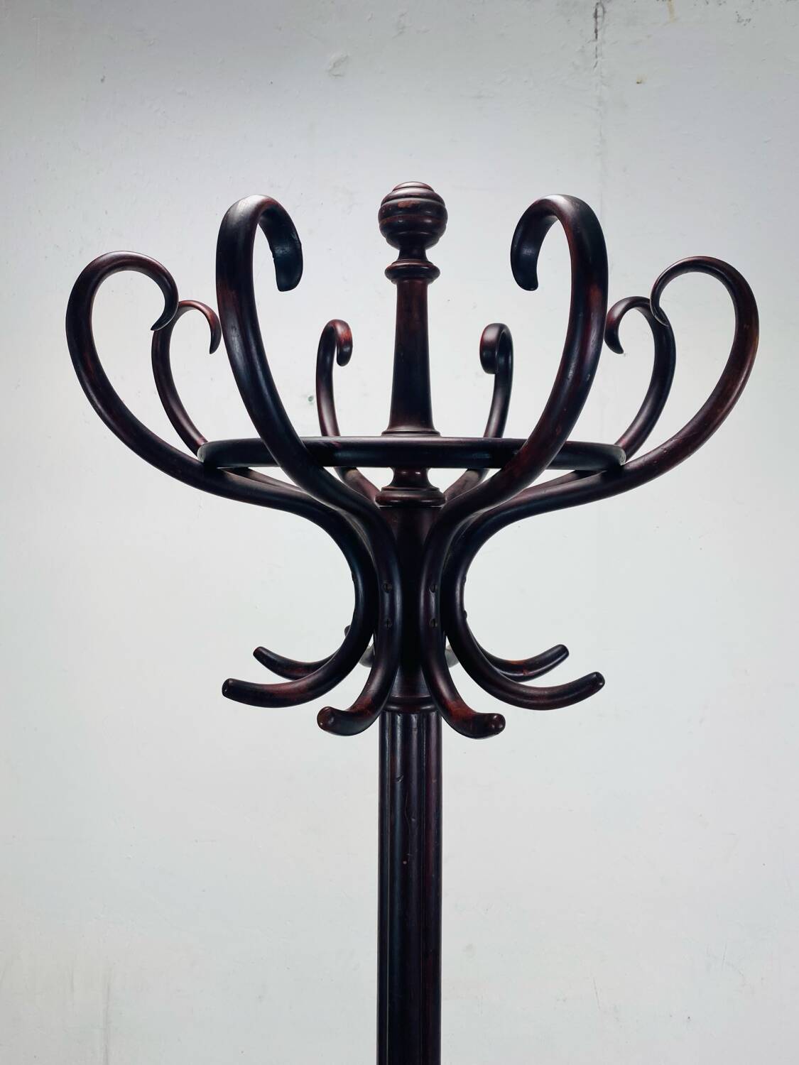 Parrot coat rack Thonet