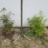 Vintage parrot coat rack