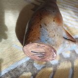 Zoomorphic ceramic vase Agnes Escala