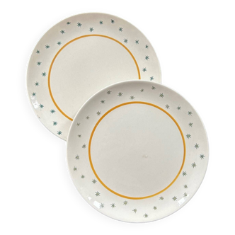 Duo of Primefleur Gien plates