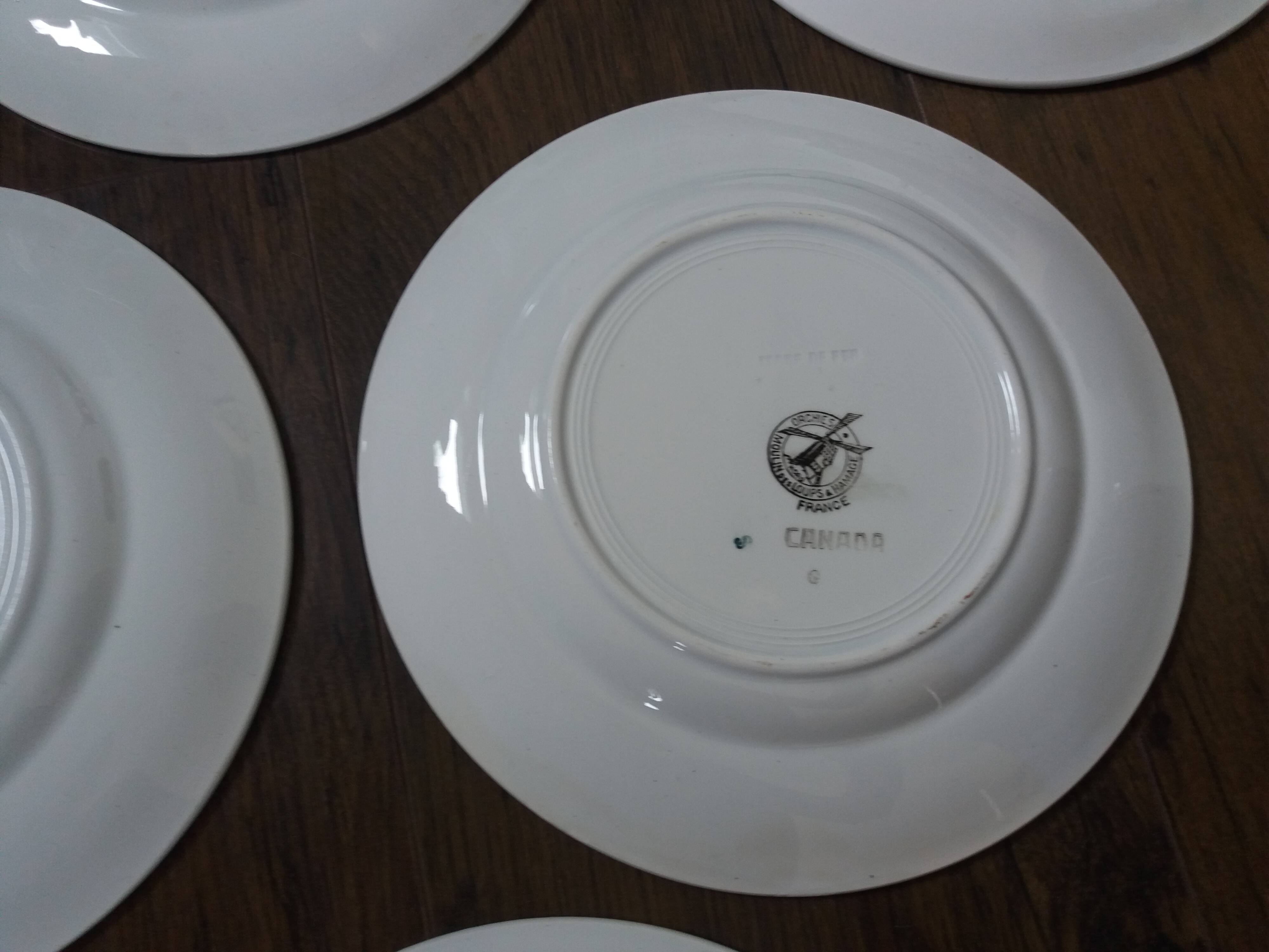 Flat plates Moulin des Loups and Hamage, Orchies, Canada, iron land