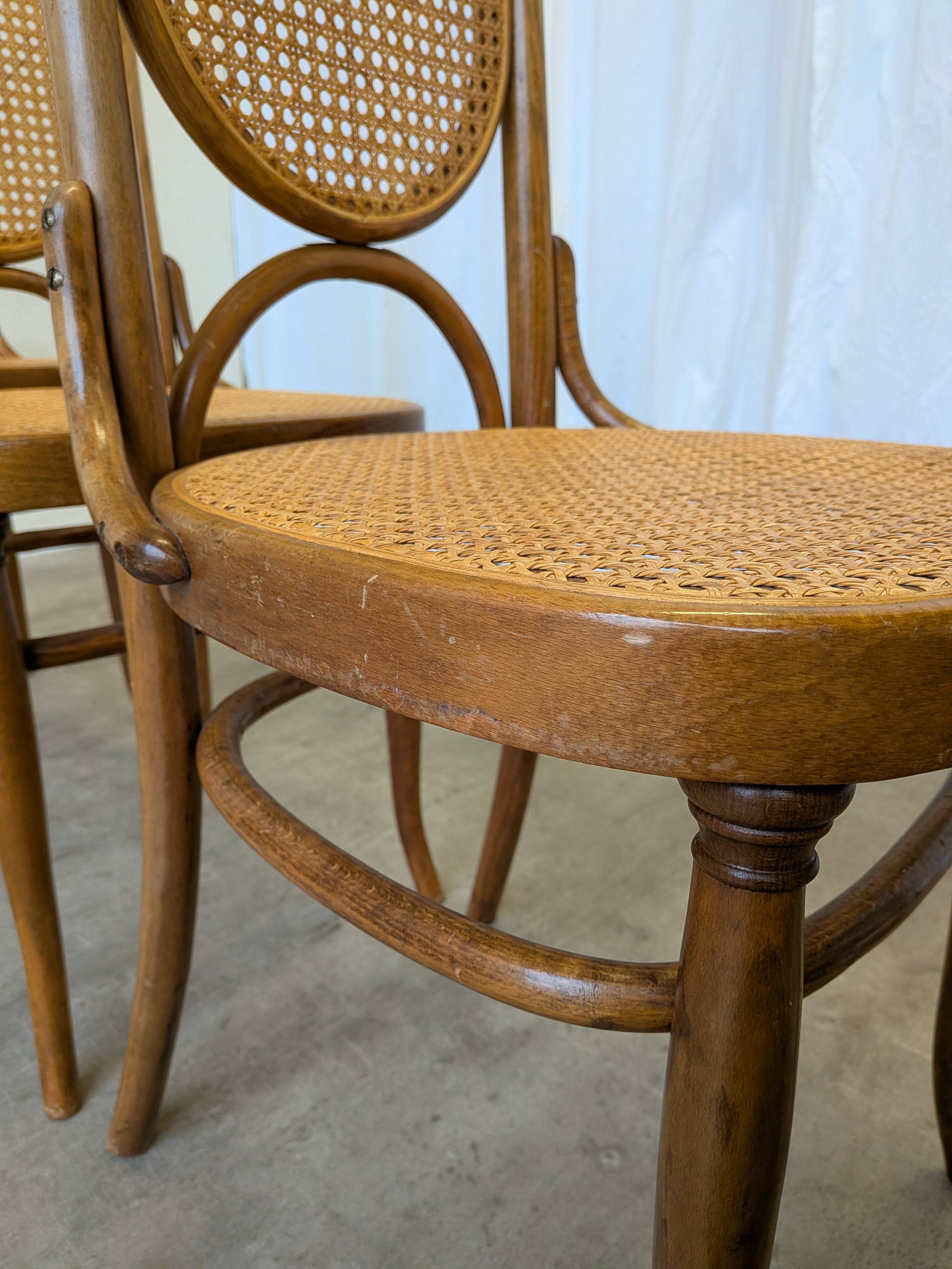 Set of 4 Vintage Bentwood Cane Dining Chair, Thonet Style, 1970s Yugoslavia