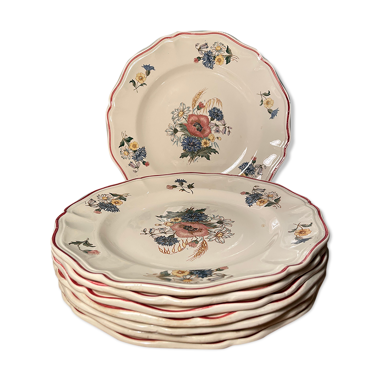 Set of 8 flat plates in Digoin Sarreguemines earthenware, Agreste model