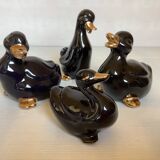 Four little black and golden ducks.