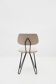 Dining Chair by Cees Braakman for Pastoe, Netherlands - 1950's
