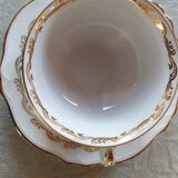 Teacup