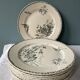 Set of 9 flat plates Terre de Fer XIXth Grand Dépôt E.Bourgeois