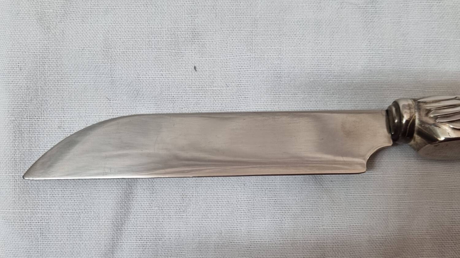 Foie gras knife