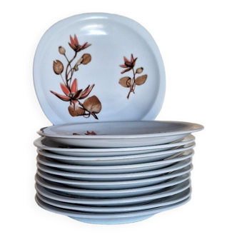 Assiettes en porcelaine de sologne