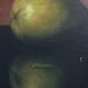 Alfred Jackson (1940–2001) – Hyper-real still life – Oil on canvas