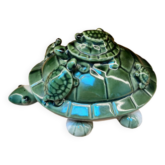 Turtle collection