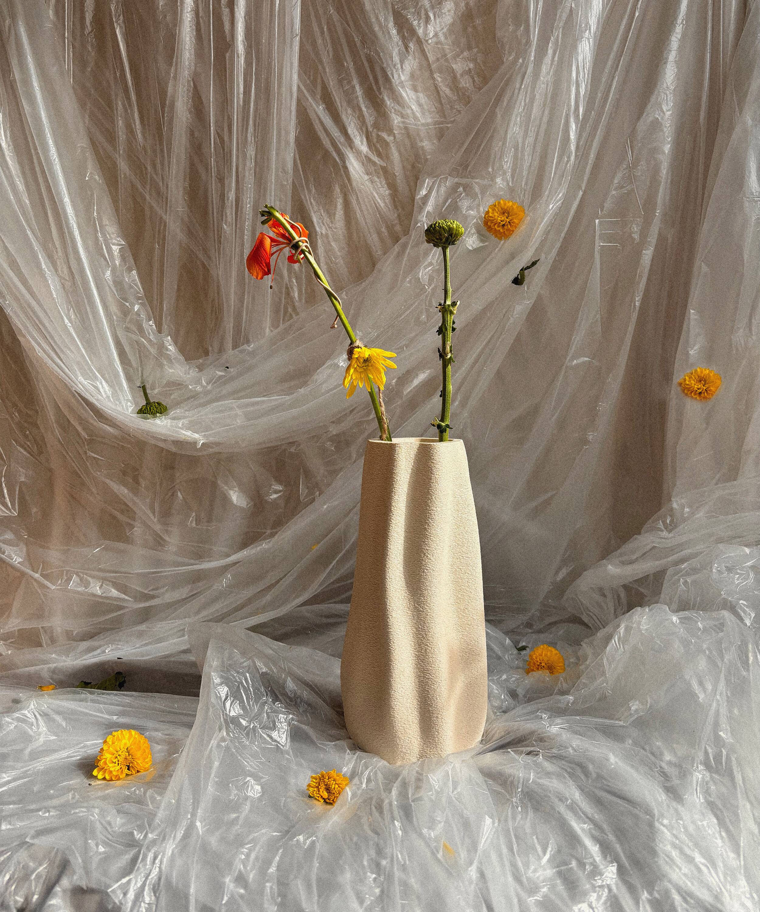 Grand vase biologique