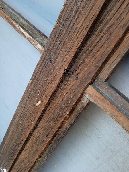 18th century chestnut window 107/83cm