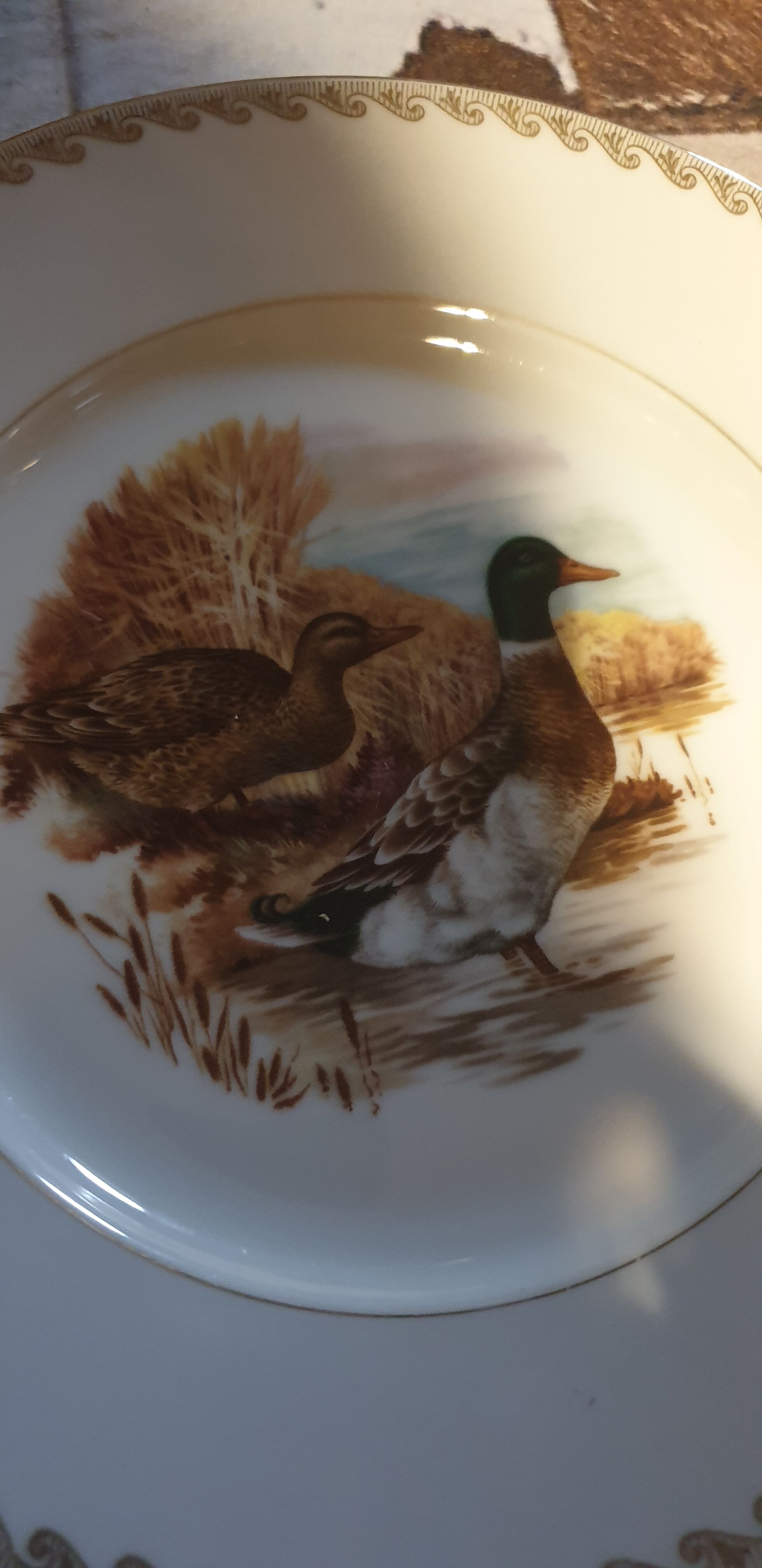 Lot de 24 assiettes plates scènes de gibiers