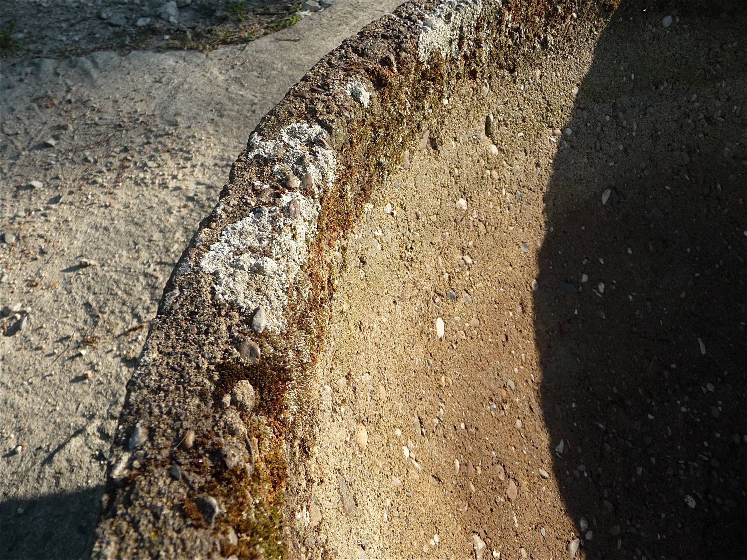 Large brutalist design garden planter bowl, germany 1960s